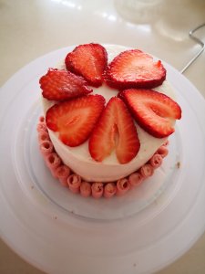 Strawberry Backyard